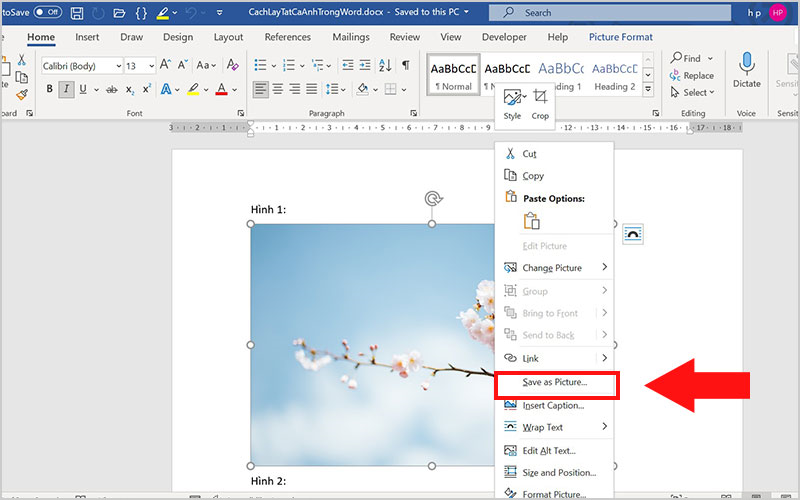 Nhấn chuột phải vào hình và chọn Save As Picture