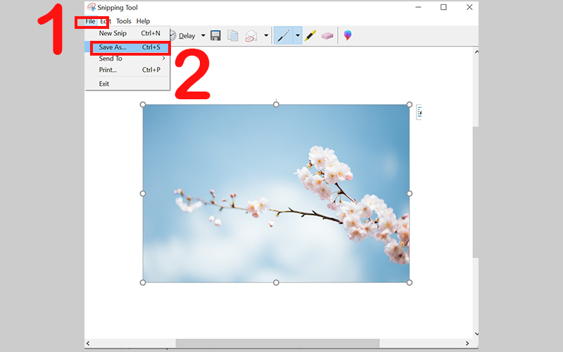 Lưu hình chụp bằng Snipping Tool