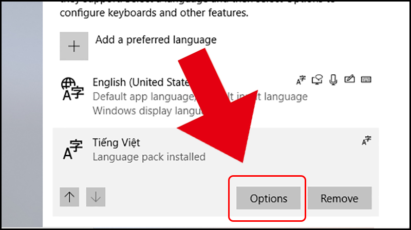 Bấm Options để bắt đầu thêm kiểu gõ tiếng Việt