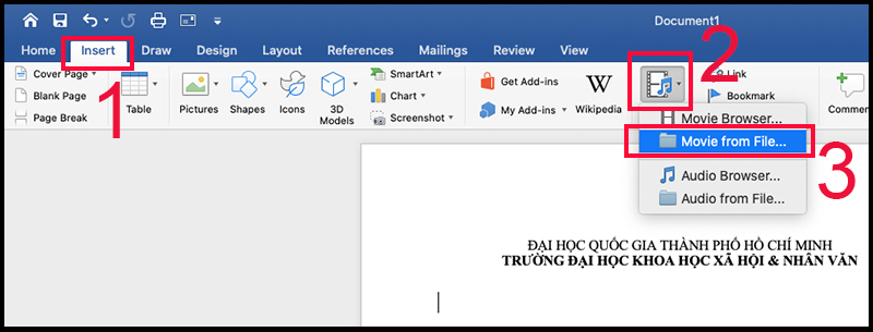 Chọn Insert > Media > Movie from File...