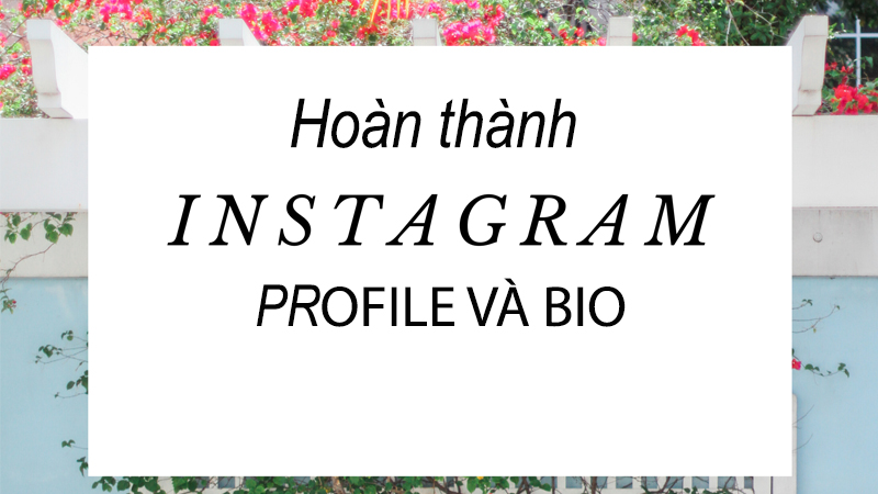 Chỉn chu profile trên Instagram