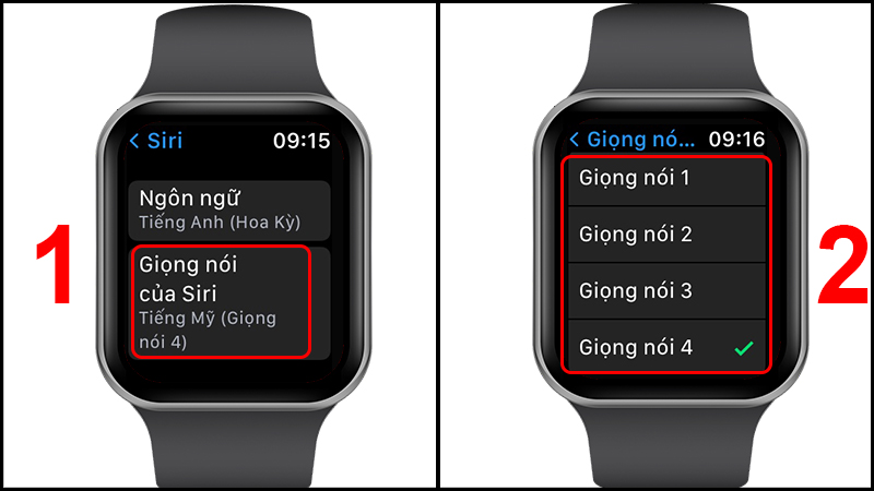 Có 4 giọng nói để bạn chọn lựa