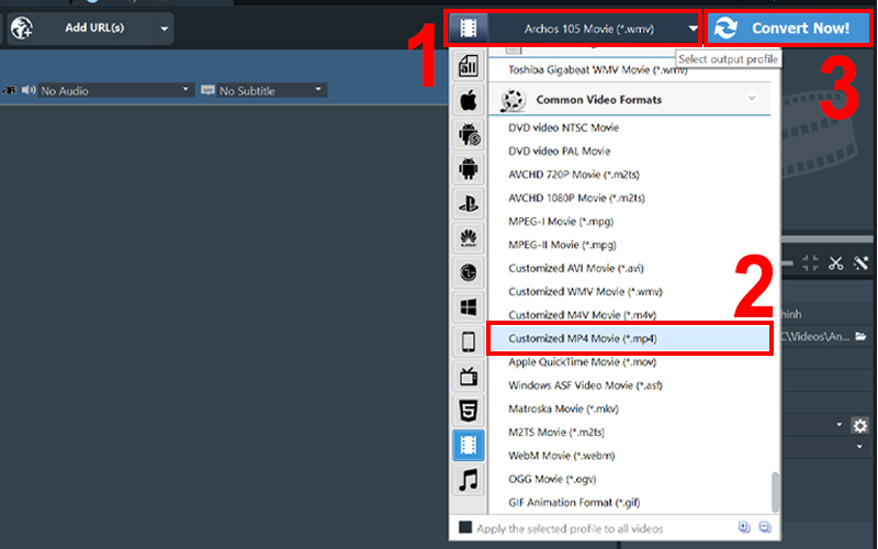 Chọn định dang chuyển đổi và nhấn Convert Now! để bắt đầu chuyển định dạng