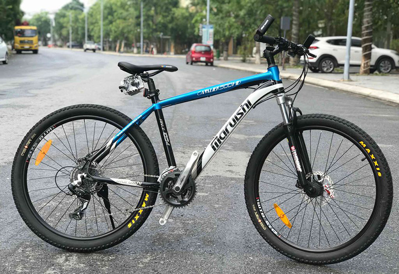 Xe đạp địa hình