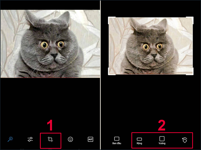 Ấn vào các tùy chọn hiển thị để cắt và xoay ảnh như ý bạn muốn