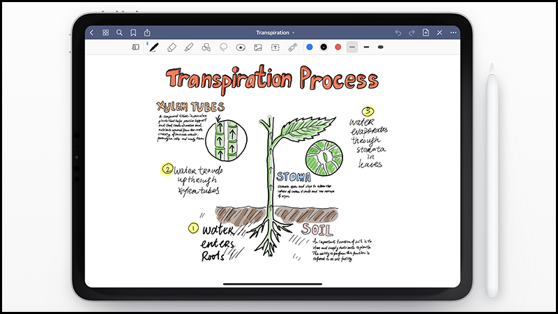 Ứng dụng GoodNotes 5