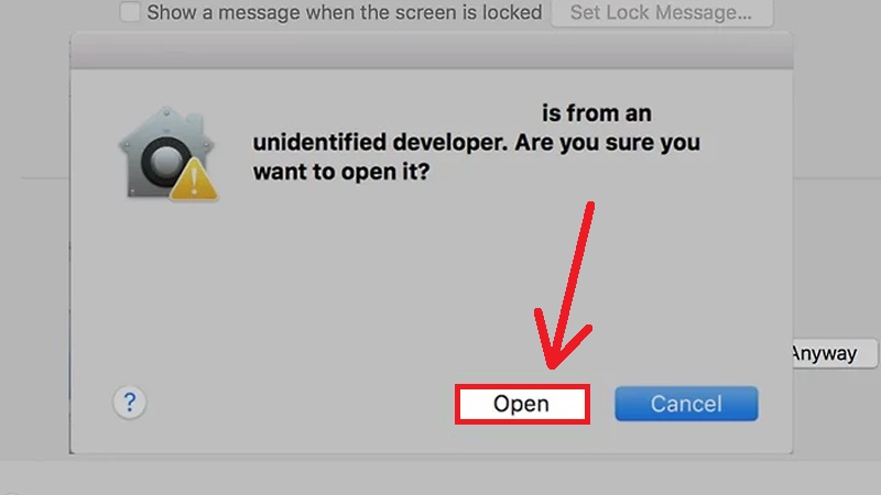 Bấm Open khi có thông báo xác nhận mở file