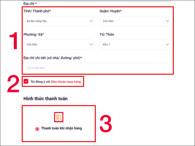 Nhập thông tin Địa chỉ giao hàng và chọn hình thức thanh toán