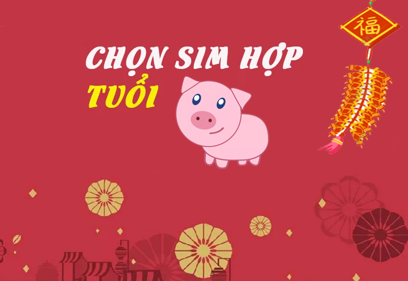 Bạn nên chọn SIM hợp tuổi