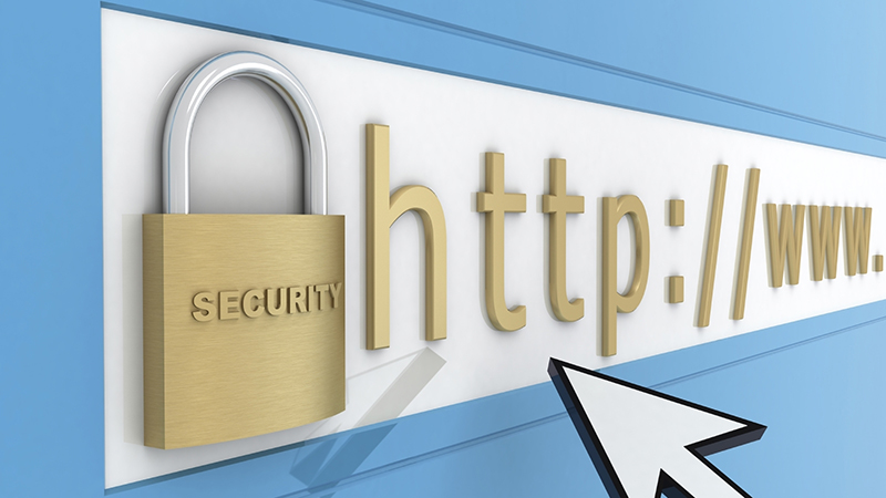 Địa chỉ IP và URL của trang web bạn truy cập sẽ được mã hóa