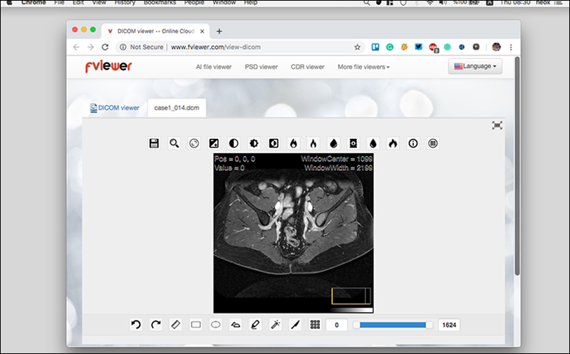 Fviewer tuỳ chọn xem file XPS với độ phân giải cao hoặc thấp