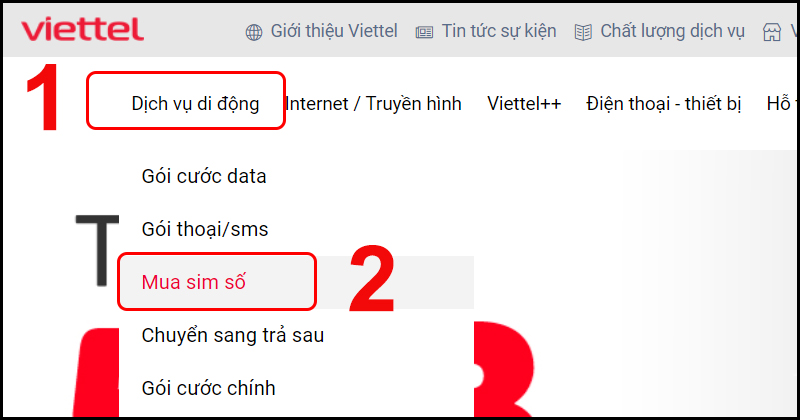 Vào trang web của Viettle