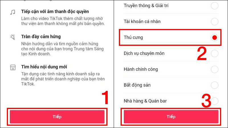 Chọn danh mục mô tả chi tiết tài khoản và chọn Tiếp