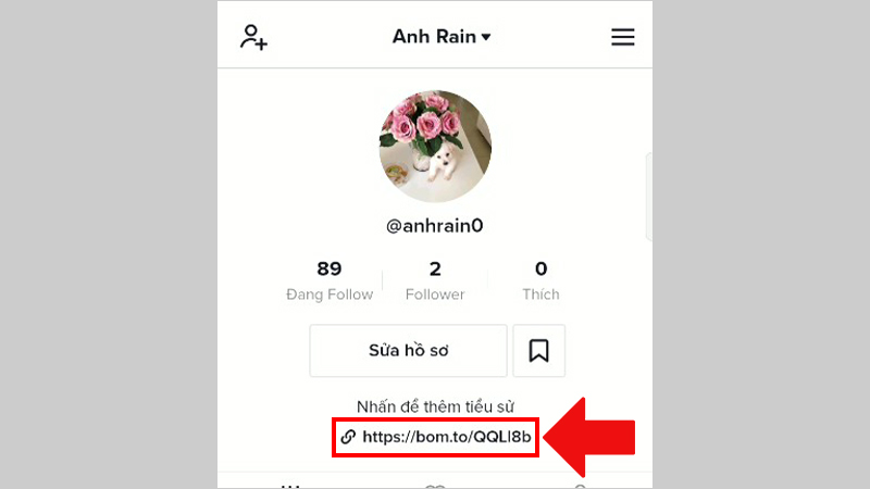 Bio Link TikTok