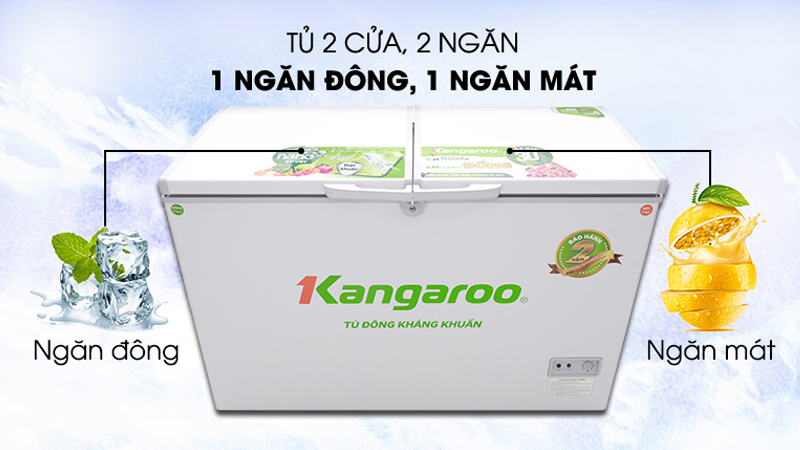 Tủ đông Kangaroo