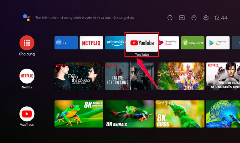 Chọn ứng dụng YouTube trong kho ứng dụng tivi