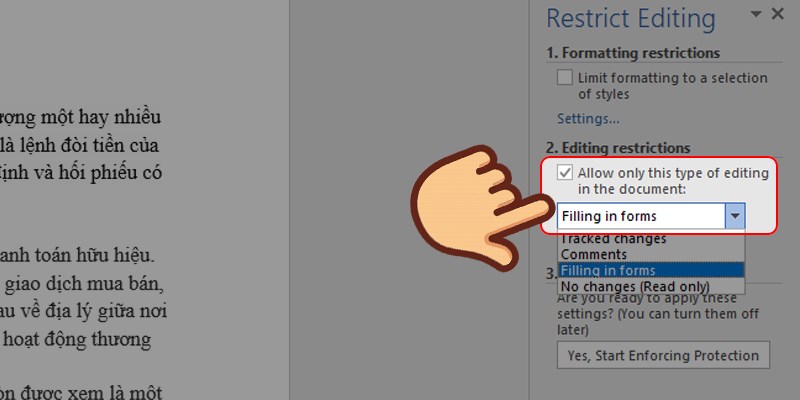 Chọn Allow only this type of editing in the document
