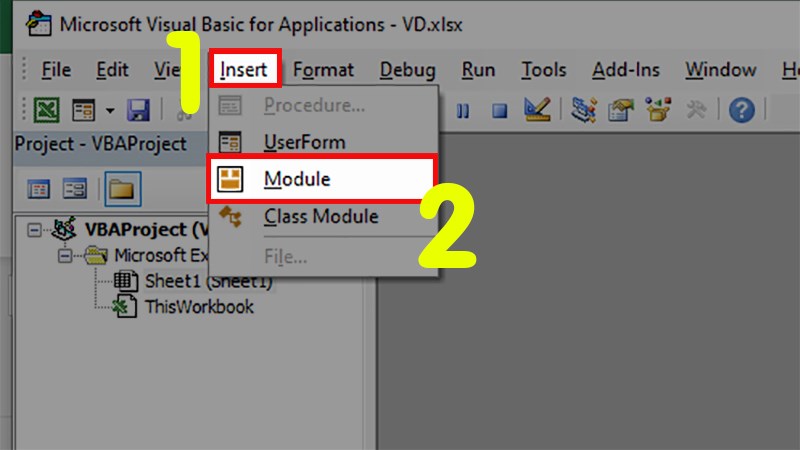 Chọn Insert > Nhấn vào Module