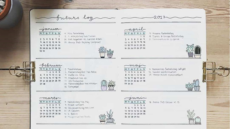 Future log dùng để đánh dấu những ngày đặc biệt