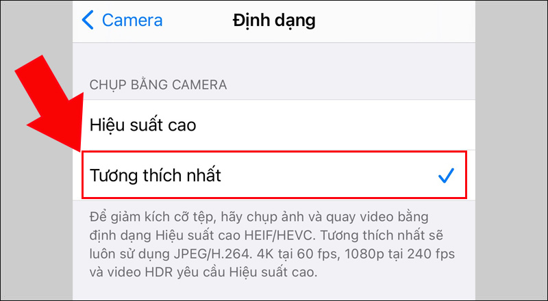 Chọn định dạng Tương thích nhất