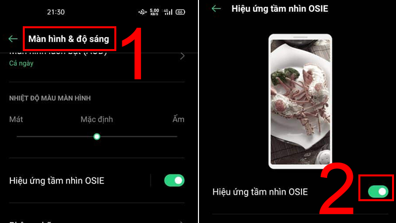 Hiệu ứng tầm nhìn OSIE