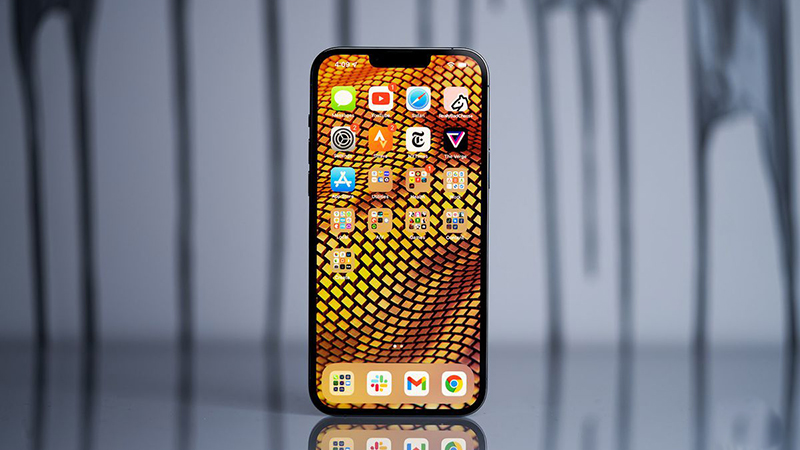 Cả hai dòng iPhone đều sở hữu màn hình “tai thỏ” đặc trưng 