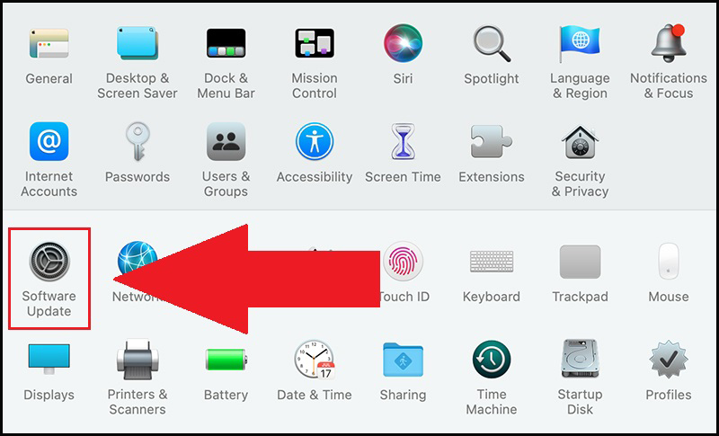 Chọn mở Software Update