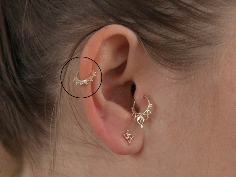Xỏ vị trí Conch