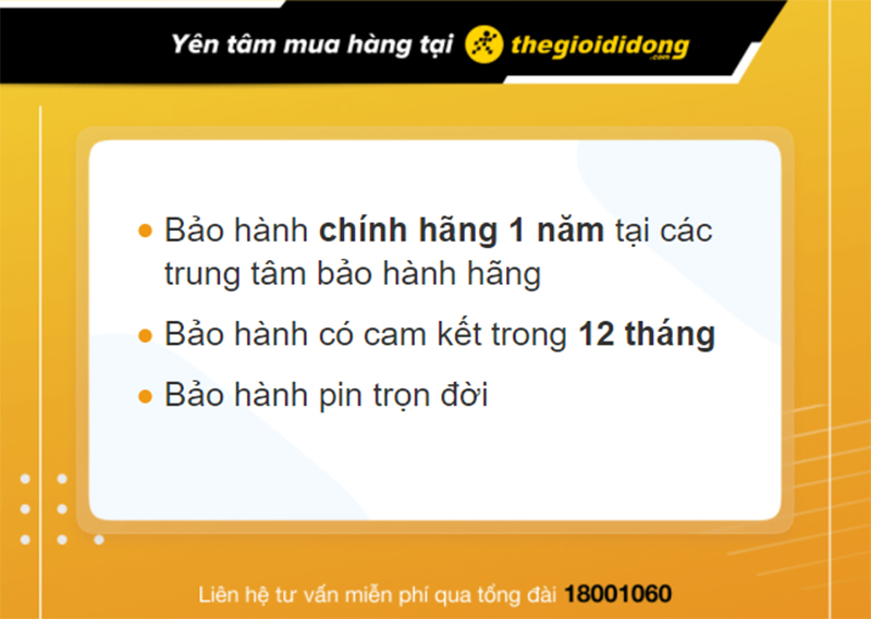 Chính sách bảo hành đồng hồ Nakzen tại Thế Giới Di Động 