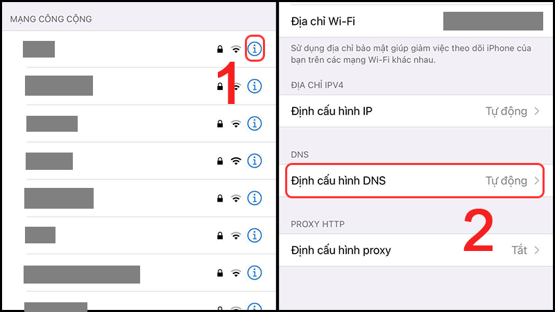 Chọn Định cấu hình DNS