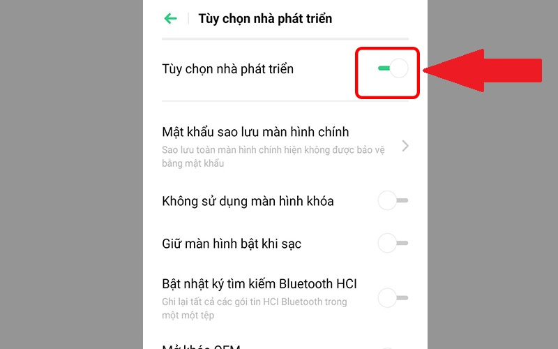 Bật tính năng Tùy chọn nhà phát triển