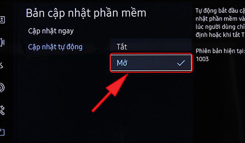 Bạn nên bật tính năng tự động cập nhật phần mềm