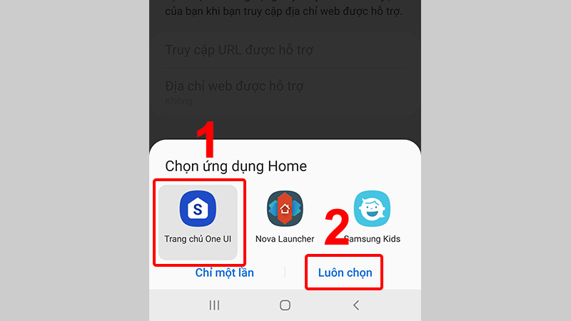 Chọn Trang chủ One UI đề quay về giao diện mặc định trên Android