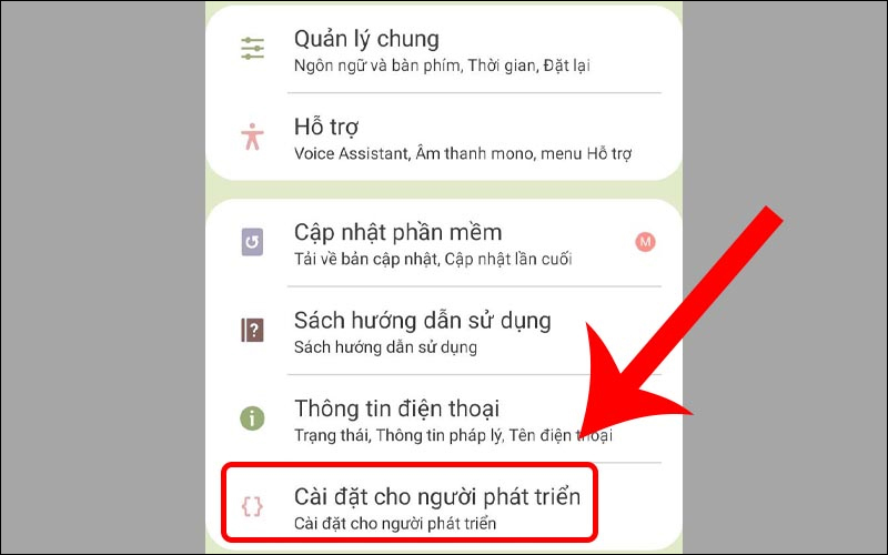 Bạn quay trở về và chọn mục Cài đặt cho người phát triển