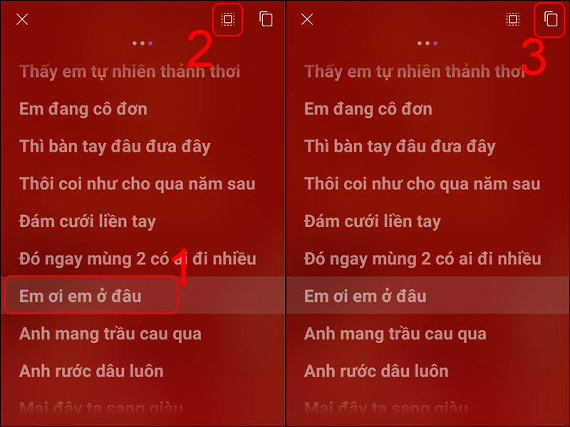 Nhấn giữ vào 1 câu hát bất kỳ, nhấn vào biểu tượng chọn toàn bộ và chọn biểu tượng sao chép