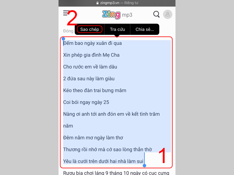Nhấn và giữ tại phần hiển thị lời bài hát mà bạn muốn và chọn Sao chép
