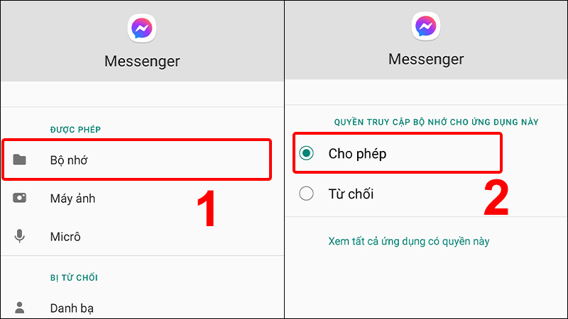 Nhấn vào Bộ nhớ và chọn Cho phép