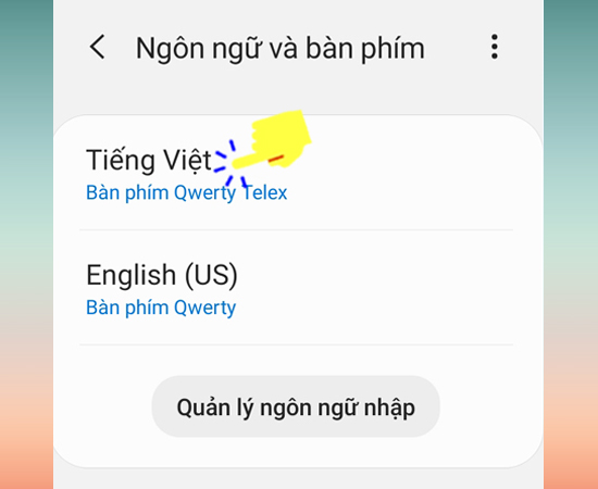 Chọn ngôn ngữ nhập