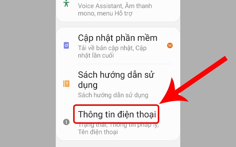 Chọn Thông tin điện thoại trong Cài đặt