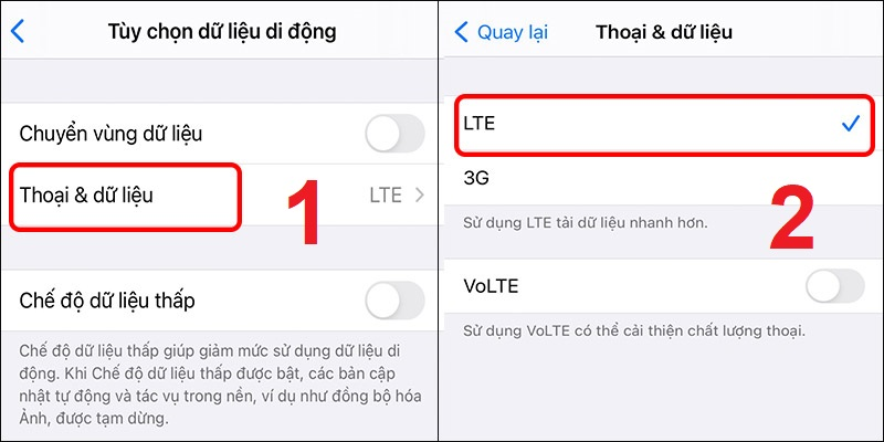 Vào Thoại & dữ liệu và chọn LTE