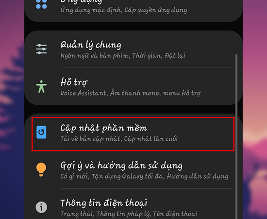 chọn Cập nhật phần mềm