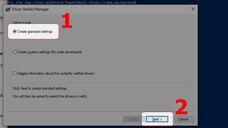 Chọn Create standard settings sau đó nhấn Next