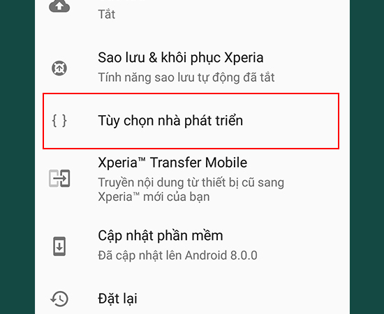 Bước 4: Trở về Hệ thống, chọn tiếp vào Tùy chọn nhà phát triển.