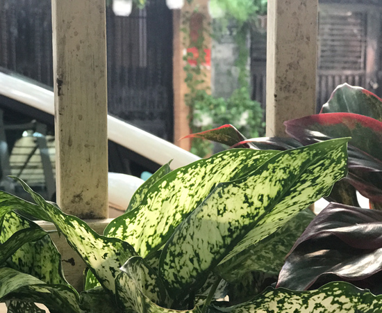 Trước khi xóa phông