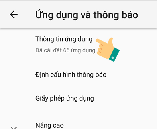 Bước 3: Chọn vào mục Thông tin ứng dụng.