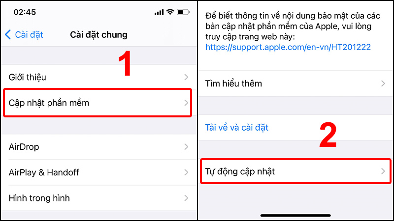 Chọn Cập nhật phần mềm và nhấn vào Tự động cập nhật