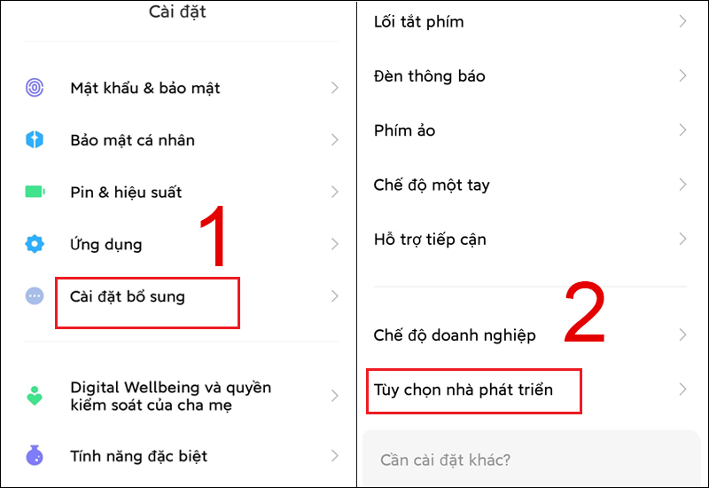Vào mục Tùy chọn nhà phát triển