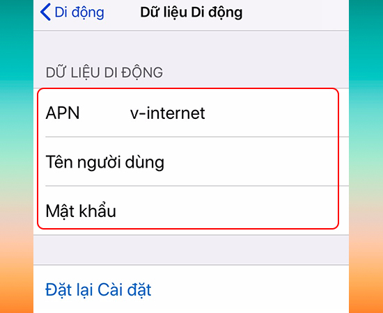 Nhập thông tin cấu hình mạng