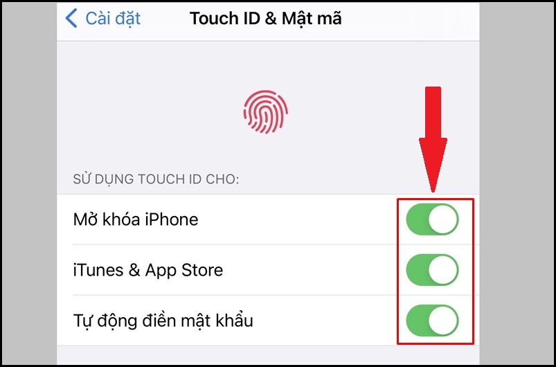 Tắt một hoặc nhiều lựa chọn sử dụng Touch ID