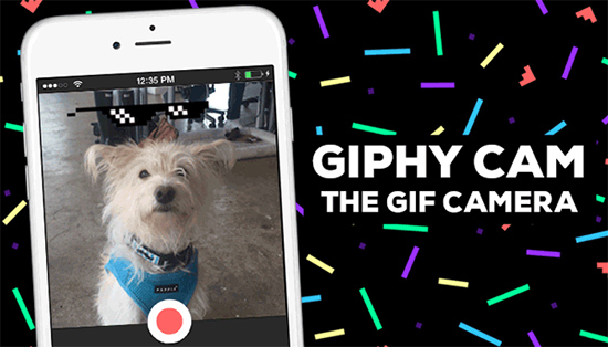 GIPHY CAM